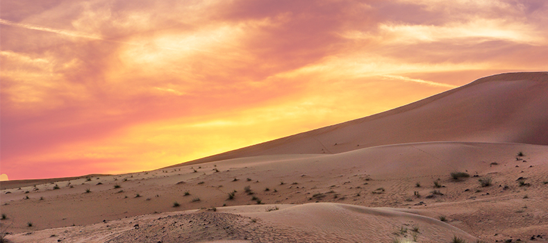 desert featured image